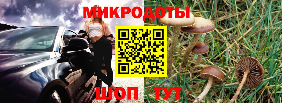 Галлюциногенные грибы Psilocybine cubensis  Псилоцибиновые грибы Magic Shrooms  Вход с VPN  Когалым 