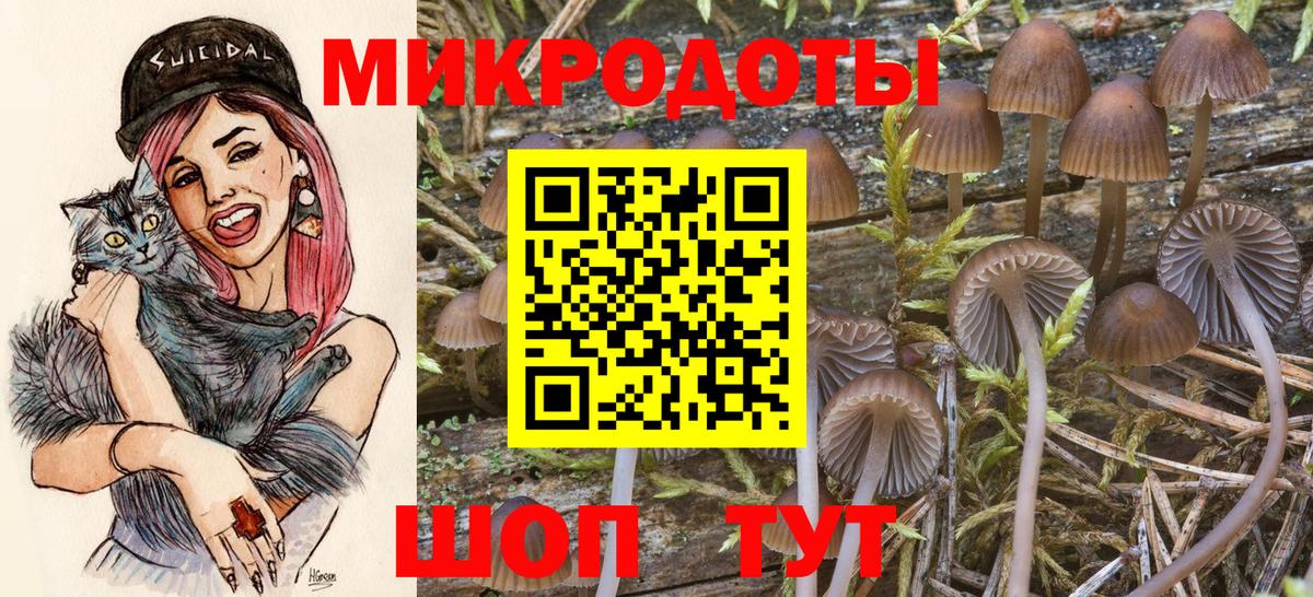 Псилоцибиновые грибы мухоморы Когалым